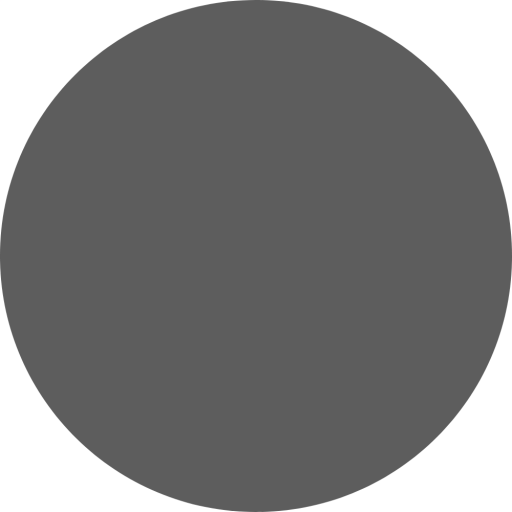 Matte Silver