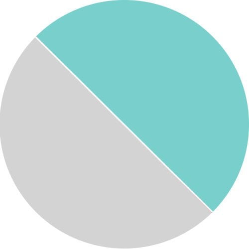 Aqua & Silver