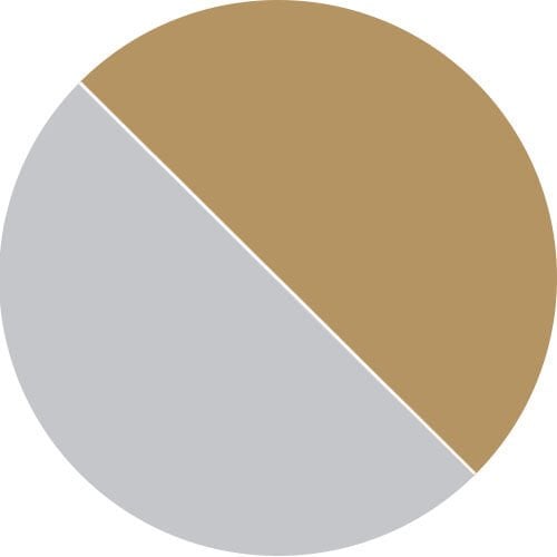 Bronze/Silver