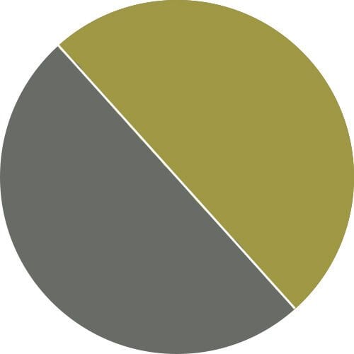 Mossy Slate