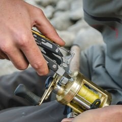 Signal Aqua & Silver