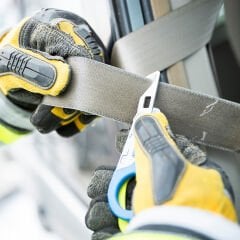 Raptor Rescue Black & Orange