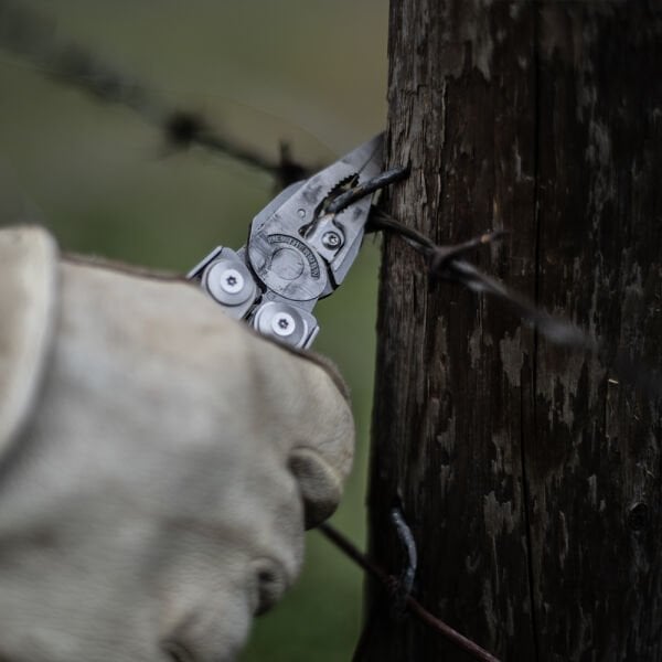 Surge TAM SET Stainless Steel