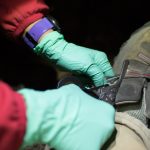 Raptor Rescue Red - Görsel 7